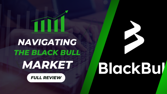 Navigating the Black Bull Market: Expert Insights